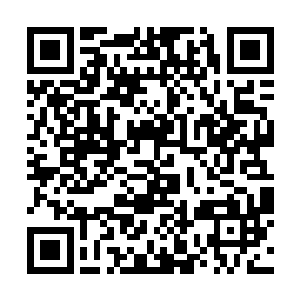 张璐涵看到小秋内疚窘迫的样子一时之间脾气也没了二维码生成