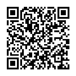 张生再次拿起了陆老病情的资料和各种检查图谱二维码生成