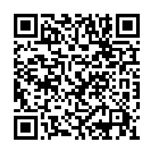 张生让佛格西太太换了特制的针灸病服趴在床上二维码生成