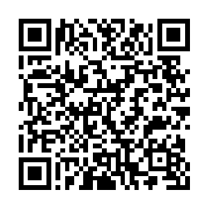 张相爷眼前立刻浮现出秦林那张贼忒兮兮的笑脸二维码生成