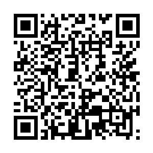 张真原先也有抱着那么一丝丝希望这瘦身丹有作用二维码生成