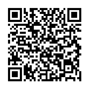 张真在她的印象里也一直是比较软弱不敢跟人动手的那种二维码生成