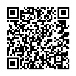 张真知道今天回家恐怕会掀起一番腥风血雨来了二维码生成