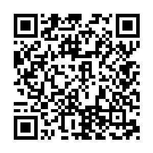 张磊只好进去把陈观的要求对孙玉成又说了一遍二维码生成