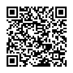 张秀兰也明白城里人有些是先看卖货人干不干净才看货二维码生成
