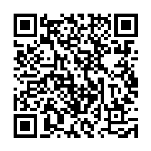 张秀兰用脚指头也能想出来让她回去不过是个引子二维码生成