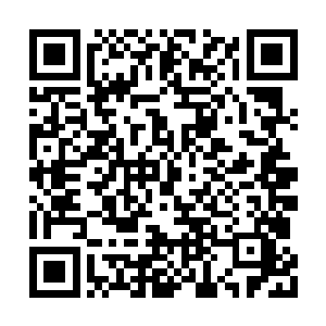 张老伯的那本账本放在了卧室的床边的一面墙上二维码生成