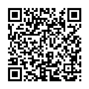 张肃和张家老宅那边也暂时停止了张肃的转轮大典二维码生成