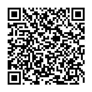 张萧晗也没有嚣张到挨个店铺都问一问有没有妖兽尾部的毛发制作的符笔二维码生成