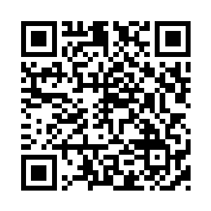 张萧晗只稍稍犹豫了一下就喊了一个价位二维码生成