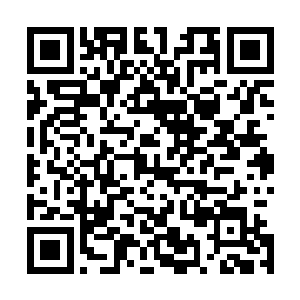 张萧晗坐在旁边隐隐就觉得体内的灵力又想自发的运行起来二维码生成