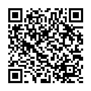 张萧晗并不知道她把万年灵药存储在储物袋里的行为多么败家二维码生成