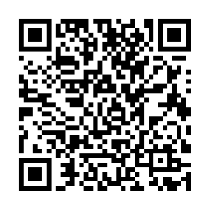 张萧晗更加迫不及待地想知道剩下三个宝器的作用了二维码生成