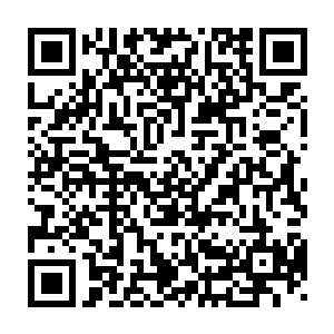 张萧晗自然不知道燕道掌门和孔江师叔的心里竟然是这样可怕的想法二维码生成