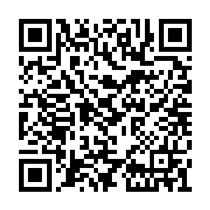 张萧晗自然也不知道燕道和孔江二人在想些什么二维码生成