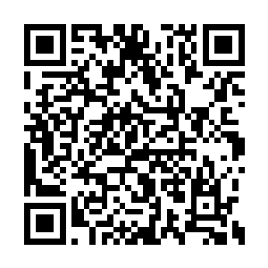 张萧晗觉得自己与面前这许多人的距离好远好远二维码生成