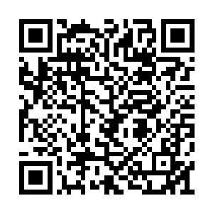 张萧晗还在结丹期就修炼出元神确实是不常见的二维码生成