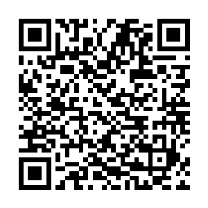 张蜀生确实答应了有条件地开放一些工业项目给陆家人二维码生成