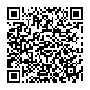 张诚才从汽车的后视镜中看到后面道德社的阁楼倒塌时激起的那一片尘土二维码生成