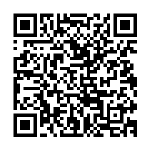 张诚还安排了一辆专车和两名商团护卫在酒店听从张铁的召唤二维码生成