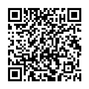 张辽更是提戟飞马如同一道飞虹般冲向了那支来袭的敌军二维码生成