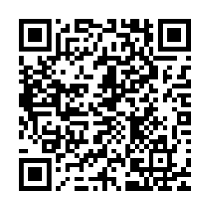 张铁一个人在万神原击杀的魔族元神将一个巴掌都数不过来了二维码生成