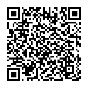 张铁一年前让爱德华制造了这么一个东西放在了宫殿树的大厅之中二维码生成