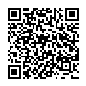 张铁一次次的到那个大厅之中故意激活那些傀儡战偶二维码生成