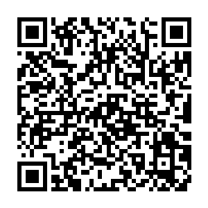 张铁不知道自己是否能够在这种孤独封闭的环境之中一个人完成这样艰苦的修炼二维码生成