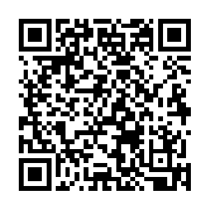 张铁也把自己在神庙遗迹之中的经历捡着能说的说了一些二维码生成
