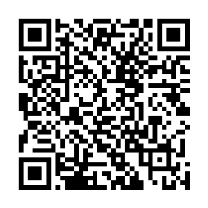 张铁亲眼看到过太多太多人族在魔族统治下的悲惨与绝望二维码生成