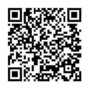 张铁今天打捞上来的海蓝铁矿石已经差不多有五十多公斤二维码生成