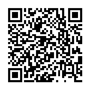 张铁仍然可以看到塞尔内斯平原上那一团团有着诡异二维码生成