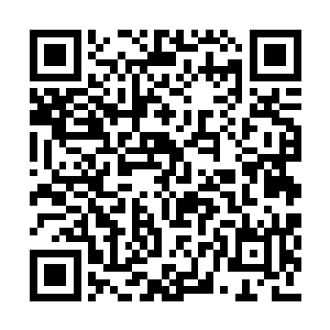 张铁从流淌着浓浓血水的过道上面无表情的走过二维码生成