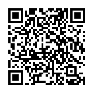 张铁似乎已经看到了那个面具之下冷艳倔强的美丽面孔二维码生成