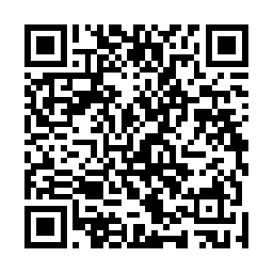 张铁几乎不知道自己怎么能撑到下午放学的时候还没晕倒二维码生成