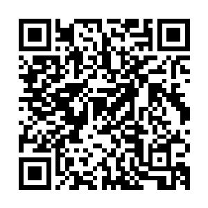 张铁却看到了一颗巨大的灰岩菇的伞盖内隐藏的一条小小的暗鼠二维码生成