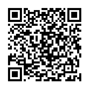 张铁只能悲催的穿着那么一条半干半湿的内裤来学校报到二维码生成