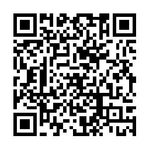 张铁可以在那个大厅之中自由的激活那些傀儡战偶二维码生成