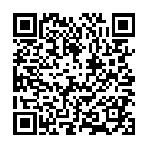 张铁和张阳瞄准的是太夏的国家级的六库采购储备目录二维码生成
