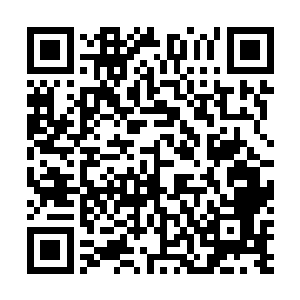 张铁和海勒直接走到了那个摆放着空间装备的装备架面前二维码生成