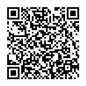 张铁和白素仙带着弟子们直接走到了血海神池留下的那个大坑之中二维码生成