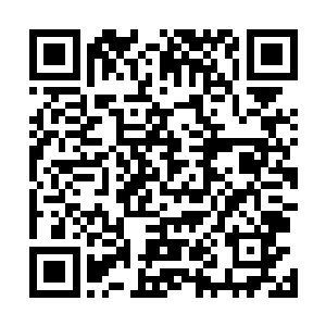张铁在傀儡战偶所在大厅内能坚持的时间是四个小时左右二维码生成
