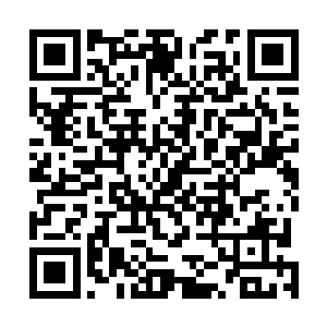 张铁在威夷次大陆舍生忘死的时候没有在人族骑士中出名二维码生成