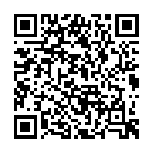 张铁在藏兵之山远远遇到过几次白银秘藏的真体二维码生成