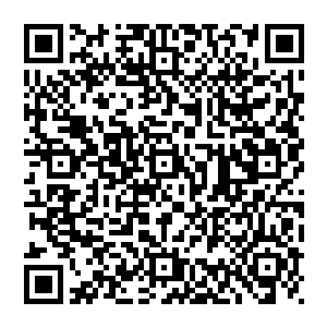 张铁在象山城外击杀两个大地骑士两个黑铁骑士的功绩由当时参与了战斗的武州车骑将军徐宝安报到了轩辕要塞二维码生成