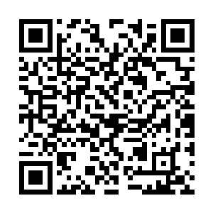 张铁家里从上到下那种其乐融融的和谐温暖的气氛二维码生成