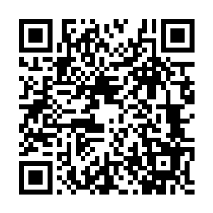 张铁就像看到一大堆水元水晶在自己面前长脚跑了二维码生成