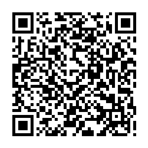 张铁就像进入到了大灾变之前人类利用科技手段构建出来的一个网络论坛一样二维码生成