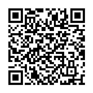 张铁就听到营帐下面传来一阵阵的哀嚎痛哭之声二维码生成